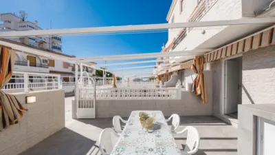 Semi-detached house on Carrer de Biar, nº > photo 25