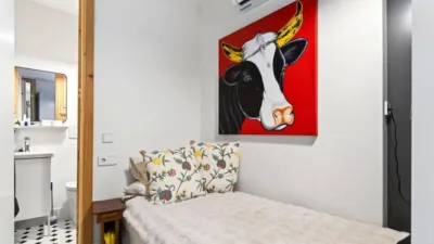 Flat on C. Luis Muriel, nº photo 60