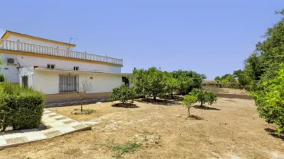 Single-family home on Urbanizacion Frutales del Alcor, no. photo 61