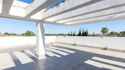 Single-family home in Campo Olivar photo 32