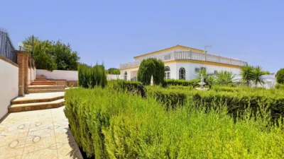 Single-family home on Urbanizacion Frutales del Alcor, no. photo 60