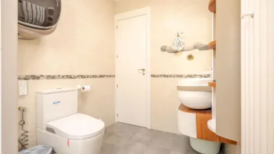 Single-family home in Parque de Boadilla photo 37