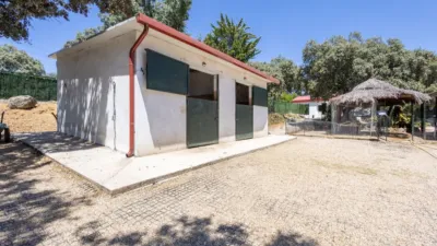 Single-family home in Pinosol-El Alcor-Peralejo photo 19