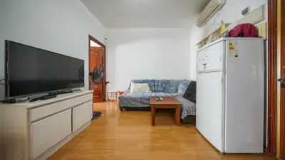 Apartment on Tucán Street, No. > photo 3