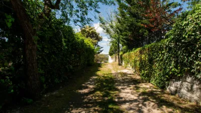 Single-family home on Carretera de Robledo, nº > photo 54
