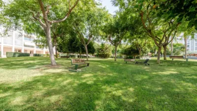 Flat on Carrer Catedratic Abelardo Rigual, nº > photo 30