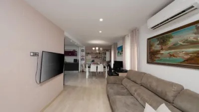 Pis – Elx - Elche - Vista 5