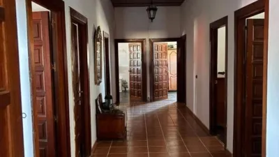 House on Calle Polígono 11 Parcela 23 Pelote, El Saucejo (Seville), No. > photo 40