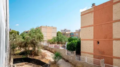 Apartment on Maestro Rosillo Street, No. > photo 29