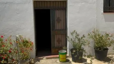 House on Calle Polígono 11 Parcela 23 Pelote, El Saucejo (Seville), No. > photo 41