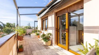 Penthouse on Carrer del Bogavant, No. > photo 29