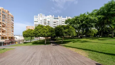 Flat on Carrer Catedratic Abelardo Rigual, nº > photo 33