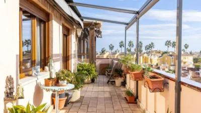 Penthouse on Carrer del Bogavant, No. > photo 32