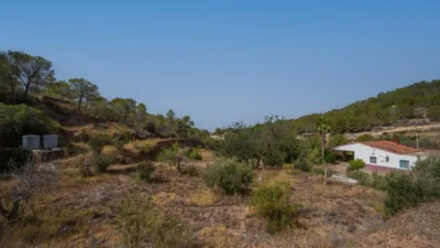 Single-family home on Calle Partida Raco Bosuna, No. photo 42