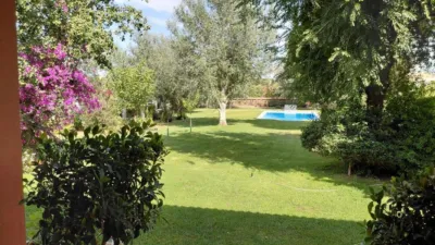 House in Cartaya photo 7