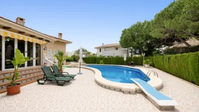 Single-family home in Cabo Roig-La Zenia-La Regia photo 48