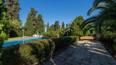 Single-family home on Avenida del Alamillo, no. > photo 19