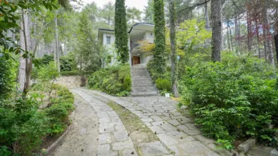 Single-family home in Abantos-Monte Carmelo-El Rosario photo 39