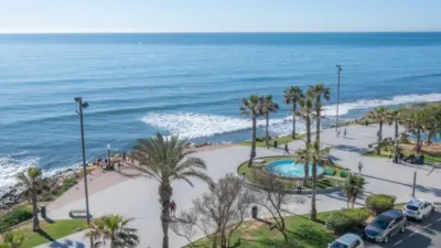 Pis – Torrevieja - Vista 5