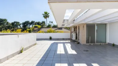 Single-family home in Campo Olivar photo 33