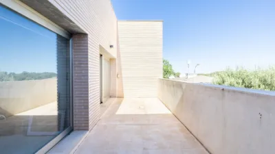 Single-family home in Campo Olivar photo 19