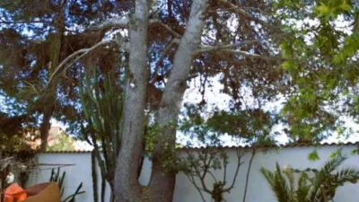 Single-family home on Calle Polígono Peri Cast D Juan Oeste, nº photo 23