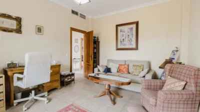 Single-family home in Centro photo 24
