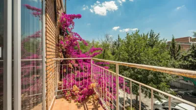 Single-family home on Calle de Luis Camoens, No. photo 32