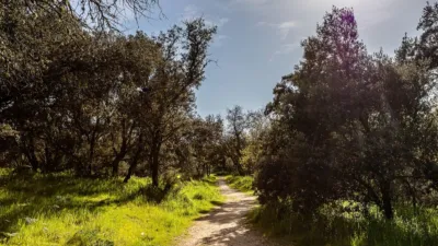 Single-family home in Camping Valdemorillo photo 81