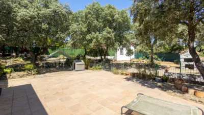 Single-family home in Pinosol-El Alcor-Peralejo photo 22