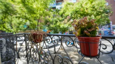 Flat on Doctor Piga Street, No. > photo 35