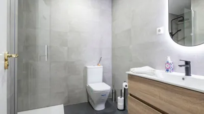 Apartment on C. de Alcalá, nº photo 26