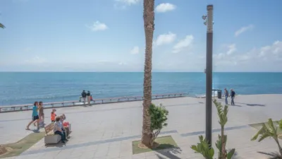 Pis – Torrevieja - Vista 3
