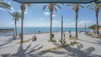 Pis – Torrevieja - Vista 2