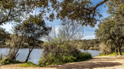 Single-family home in Camping Valdemorillo photo 78