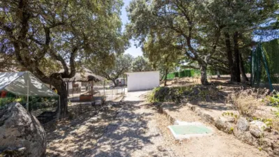 Single-family home in Pinosol-El Alcor-Peralejo photo 18