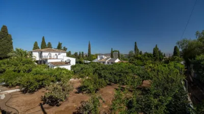 Single-family home on Avenida del Alamillo, no. > photo 17