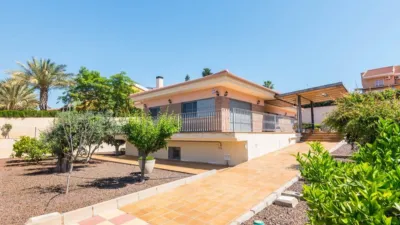 Single-family home on Avenida del Majal Blanco, no. > photo 53