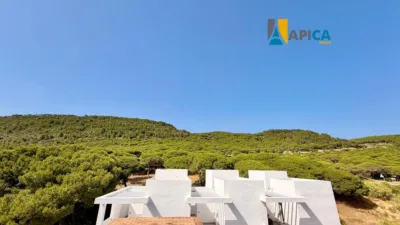 Duplex in Barbate photo 17