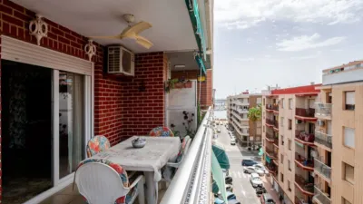 Apartment on Calle San Miguel de Salinas, No. > photo 8