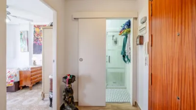 Apartment on Calle San Miguel de Salinas, No. > photo 12