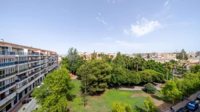 Apartment on Calle San Miguel de Salinas, No. > photo 27