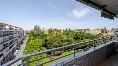 Apartment on Calle San Miguel de Salinas, No. > photo 24