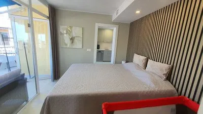 Penthouse on Avenida de Ramón y Cajal, 1 photo 15