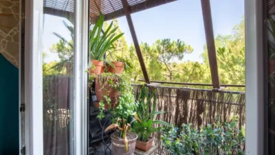 Apartment on Carrer Daldaia, No. photo 12