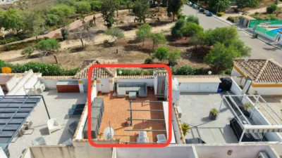 Apartment in El photo 4