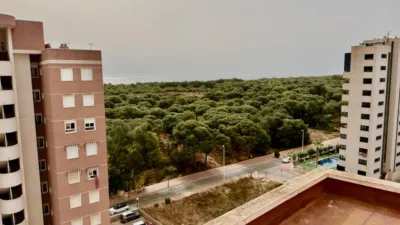 Apartment in Guardamar del Segura photo 17