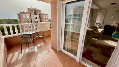 Apartment in Guardamar del Segura photo 12