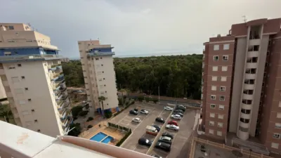 Apartment in Guardamar del Segura photo 18
