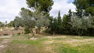 Detached house on Avenida de los Pioneros, no. > photo 43